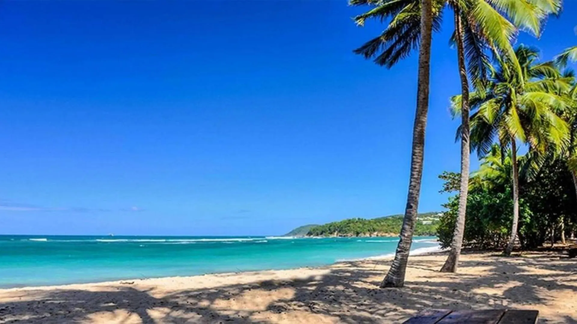 Bungalow Avec Piscine Au Coeur De La Campagne Oge Sainte-Marie Martinique